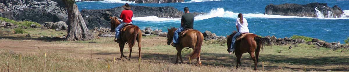 Hawaii Horseback Rides and Trail Rides