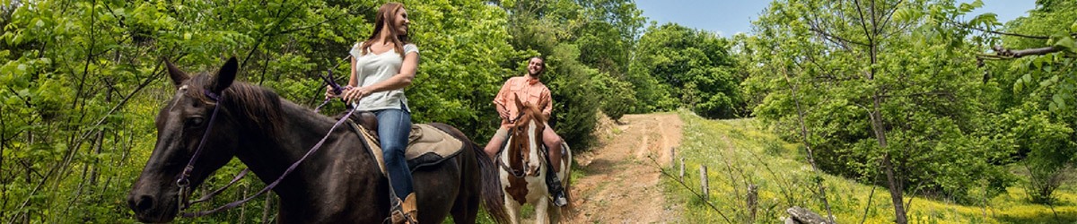 Horseback Riding in Pigeon Forge