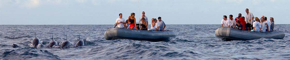 Kauai Sea Tours