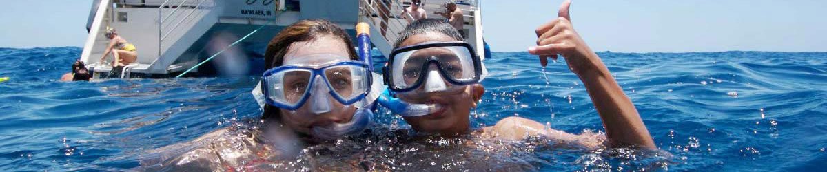 Maui Snorkel Cruises