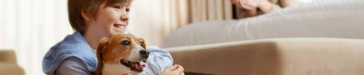 Pet Friendly Myrtle Beach Resorts
