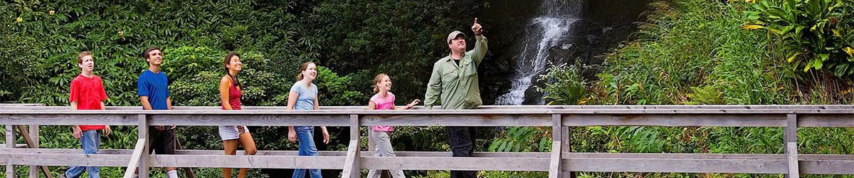 Sightseeing Tours in Hawaii