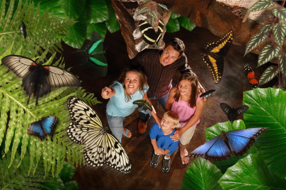 Family at Butterfly Palace and Rainforest Adventure in Branson, Missouri, USA