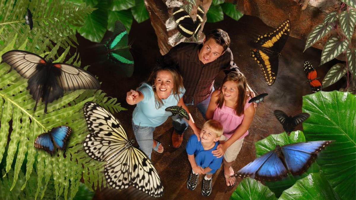 Family at Butterfly Palace and Rainforest Adventure in Branson, Missouri, USA