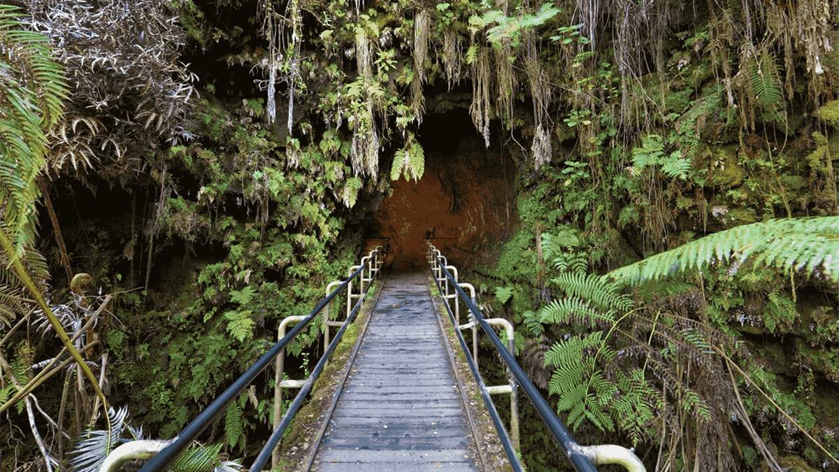 wooden bridge in trees headed into a cave in Hawaiʻi Volcanoes National Park in Big Island, Hawaii, USA
