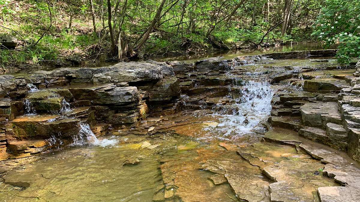ground view of trail through green trees at Ruth and Paul Henning Conservation Area in Branson, Missouri, USA