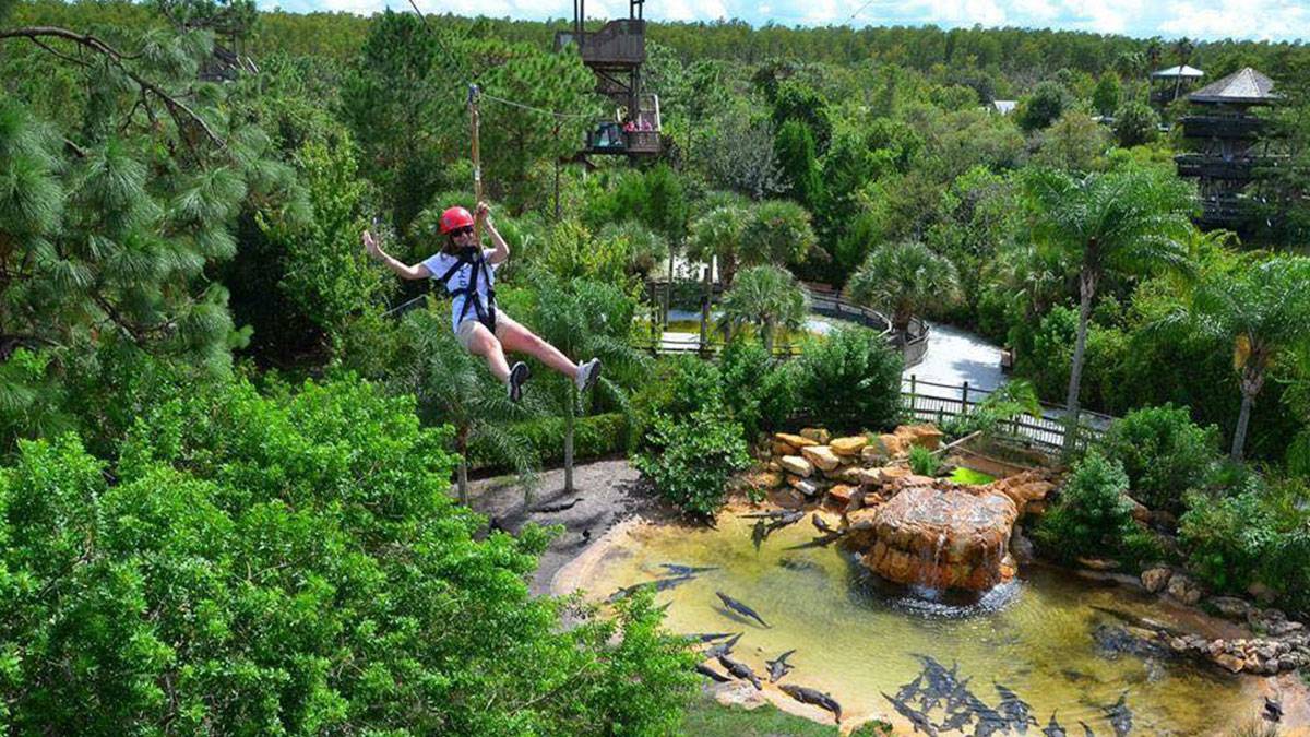 Gatorland Zipline