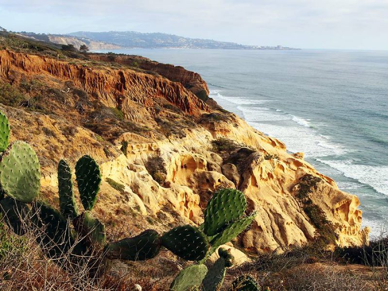 5 Amazing Things to Do in San Diego for Adults