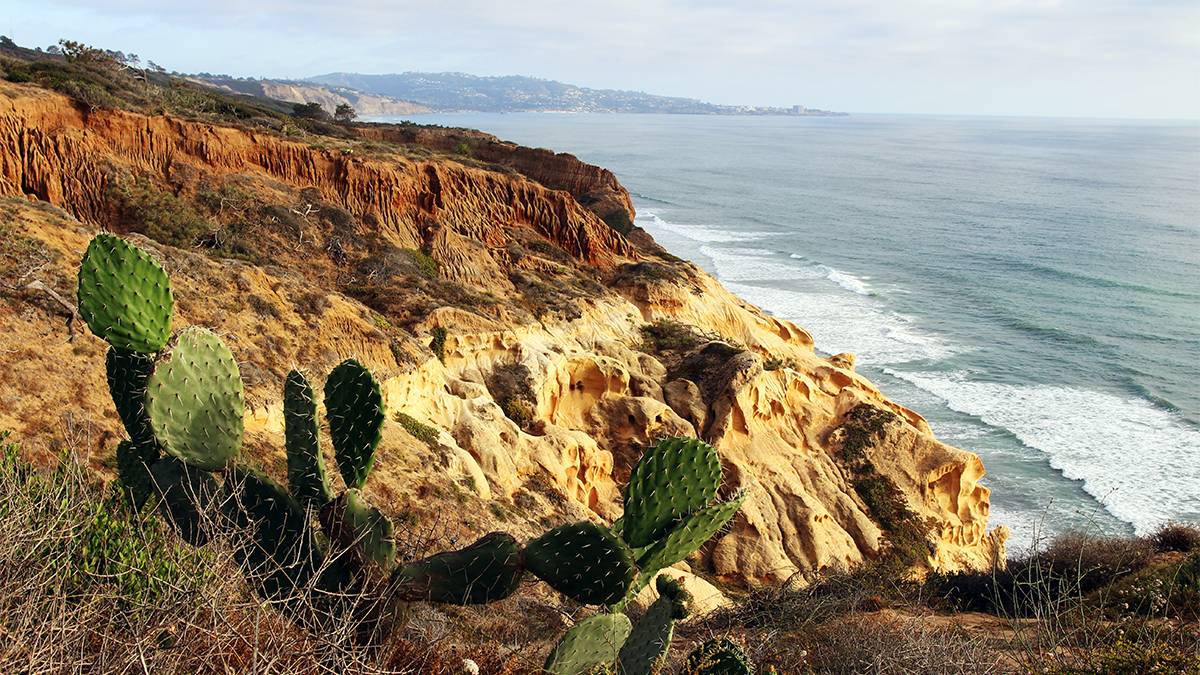 cliffs overlooking the beach at Torrey Pines State Natural Reserve near San Diego, California, USA