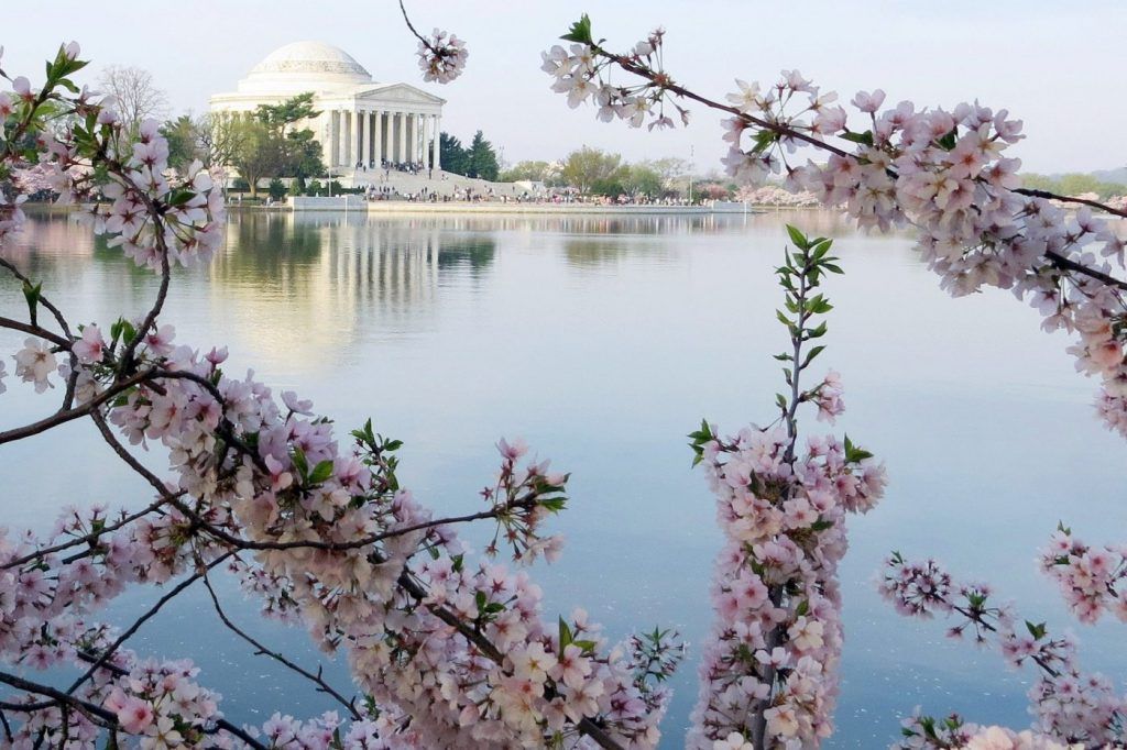 Washington DC Landmarks