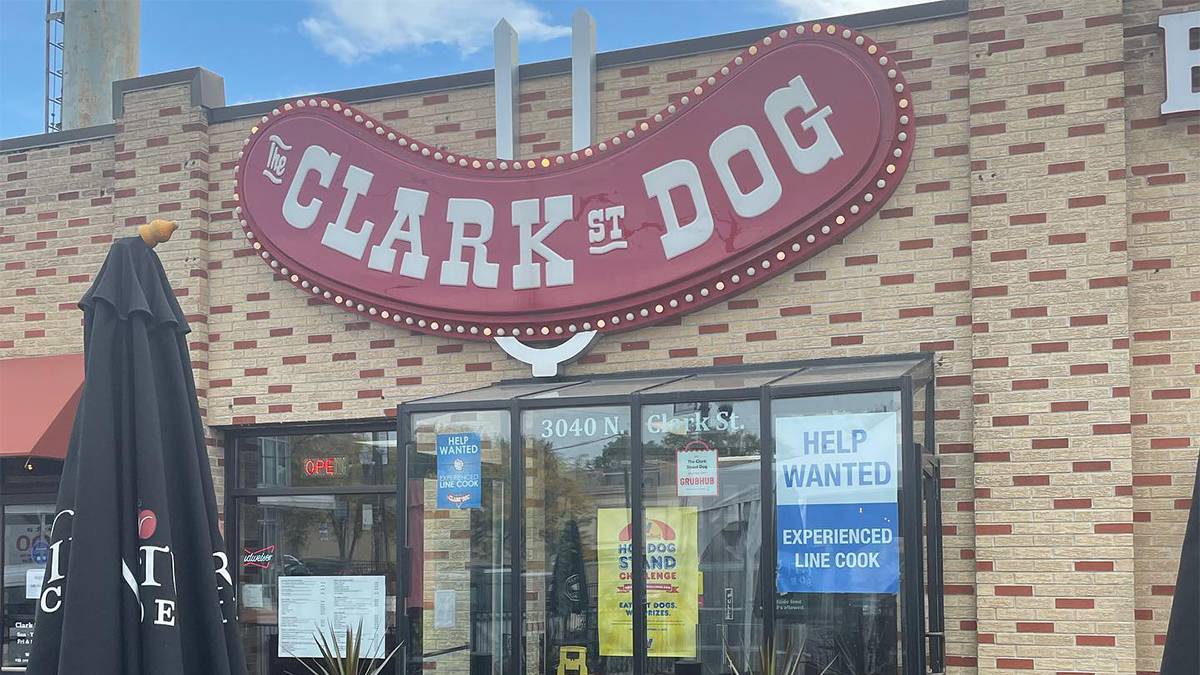Ground view of the the Clark St Dog sign in Chicago, Illinois