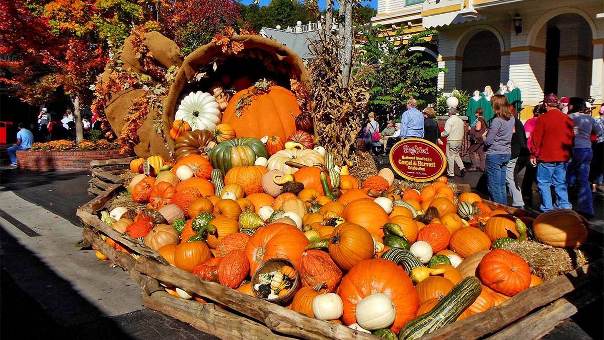gatlinburg-tennessee-usa-smoky-mountain-harvest-festival-pumpkins
