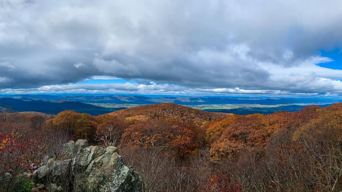 Looking out over the trees and rocks at Hawksbill Mountain in fall with a blue cloudy sky overhead in North Carolina, USA