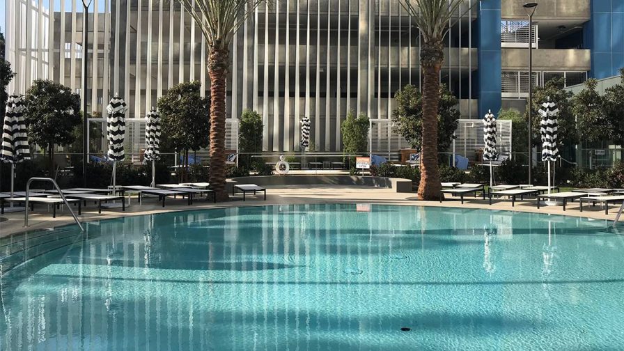 A light blue pool with chair to lay out on surrounding it along with palm trees at Radisson Blu Anaheim in Los Angeles, California, USA