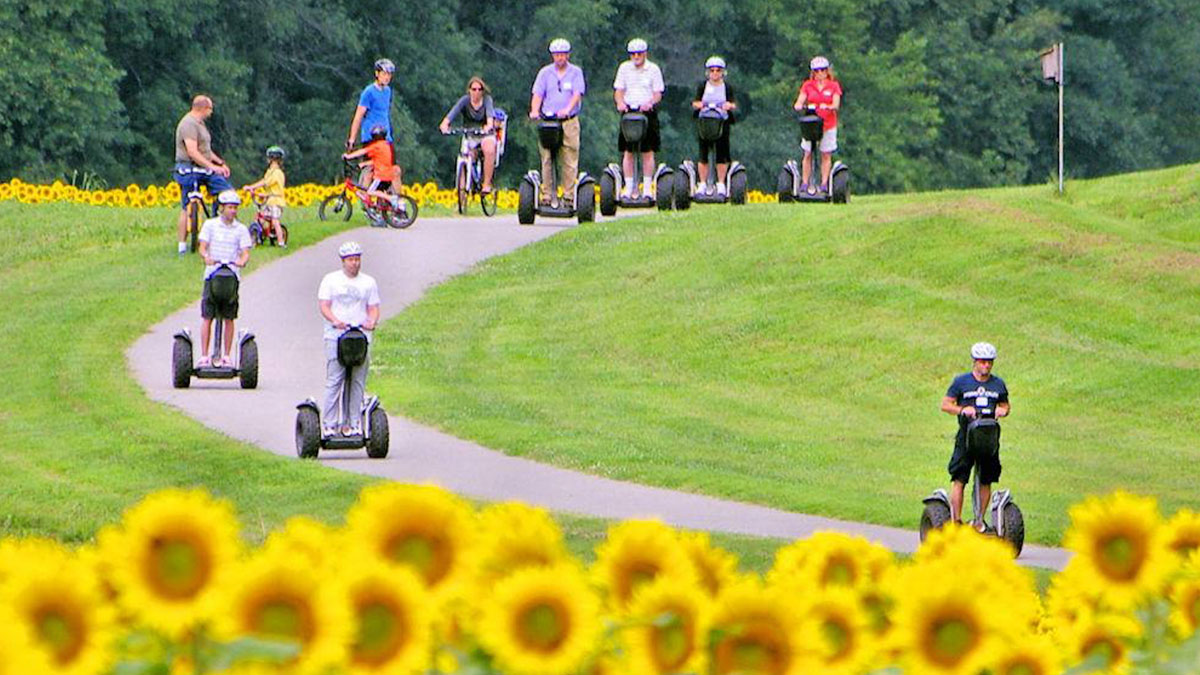 people on segways and bikes exploring the grounds with sunflowers in the foreground at Biltmore in Asheville, North Carolina, USA