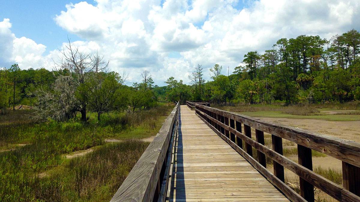 wooden bridge over grass with trees in distance at Skidway Island State Park in Savannah, Georgia, USA