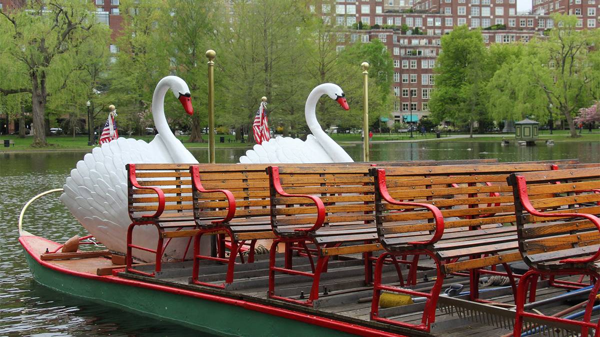 Close up of the Boston Swan Boats with giant swans on the back and wooden bench seating in Boston, Massachusetts, USA