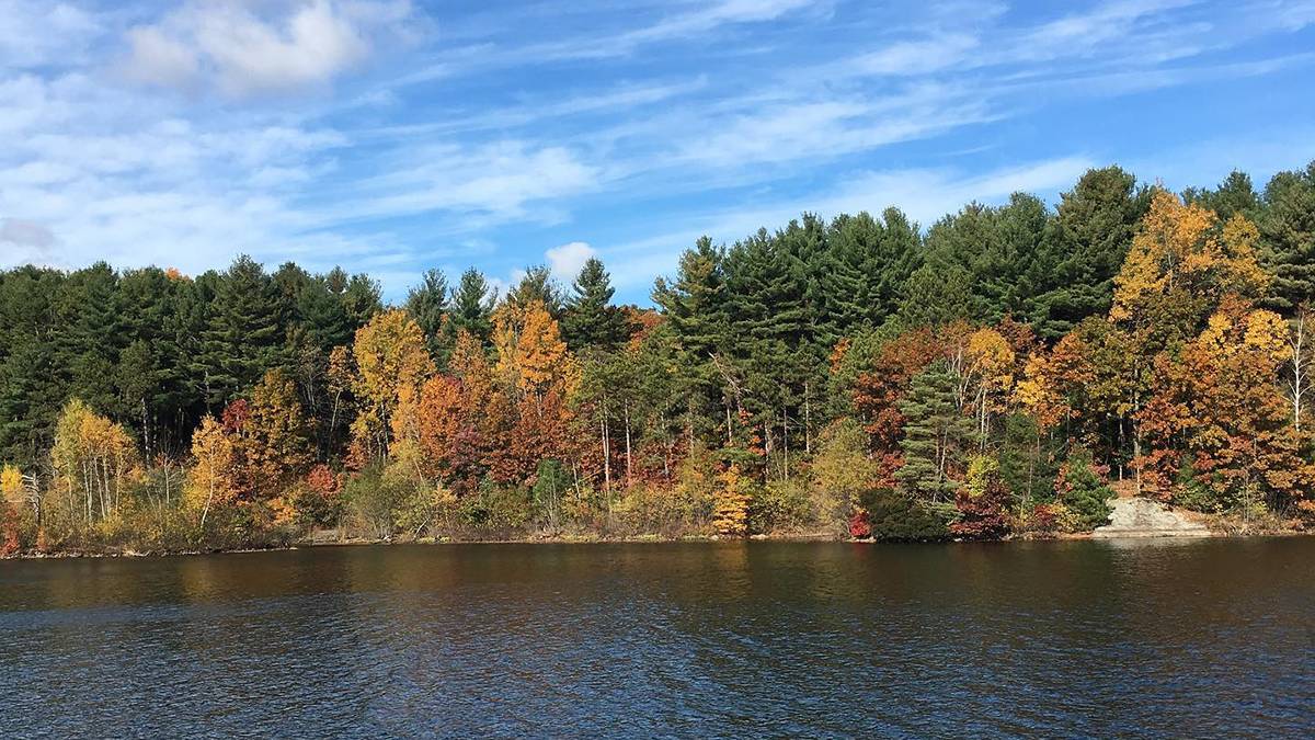 View of the Middlesex Fells Reservation with the turns turning into fall colors from the water near Boston, Massachusetts, USA