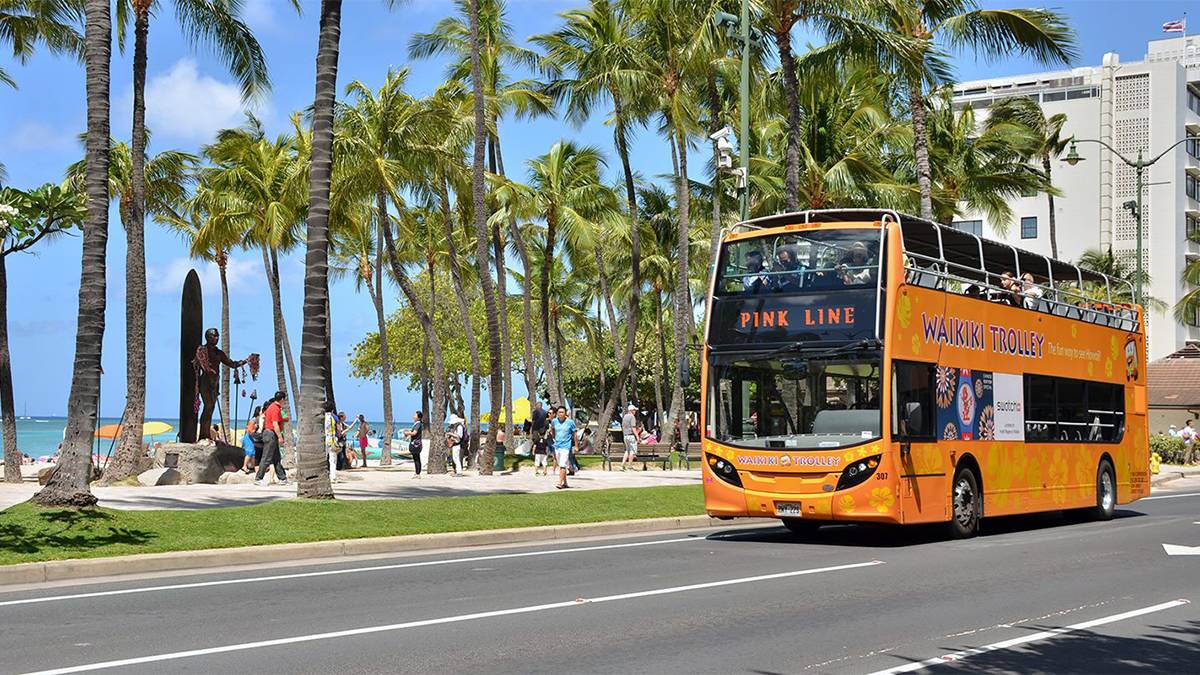 Wide shot of a large orange double decker Waikiki Trolley driving passed tall palm trees and people on the beach in Oahu, Hawaii, USA