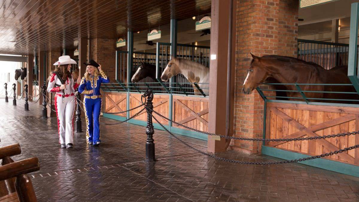 Wide shot of two women in blind cowgirl costumes walking the Horse Walk with horses sticking their heads out to great them at the Dolly Parton Stampede in Pigeon Forge, Tennessee, USA