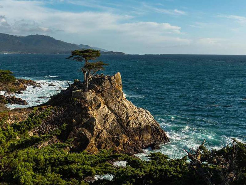 Top 5 Scenic Drives to Take Around the San Francisco Bay Area