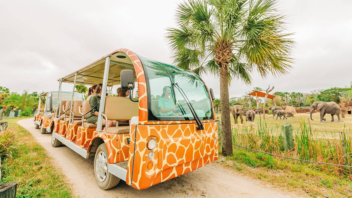 Close up of a tram painted like a giraffe on a dirt rode with elephants on the far side at ZooTampa in Tampa, Florida, USA